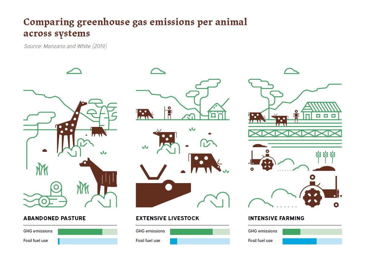 Infographic comparing emissions across systems