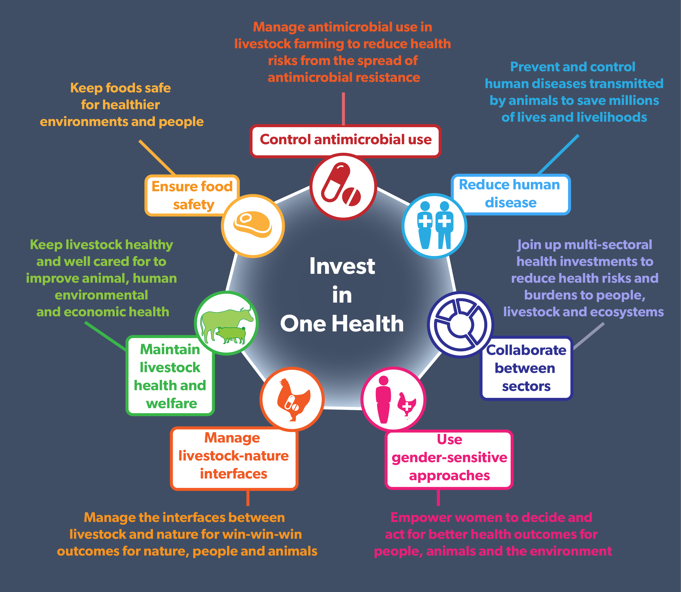Where to invest in One Health