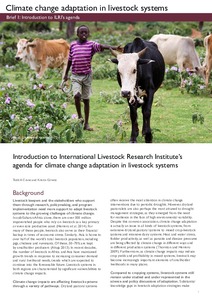 Climate change Adaptation Briefs