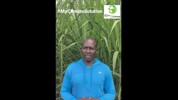 Growing different livestock feeds