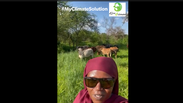 Digging a borehole to provide water